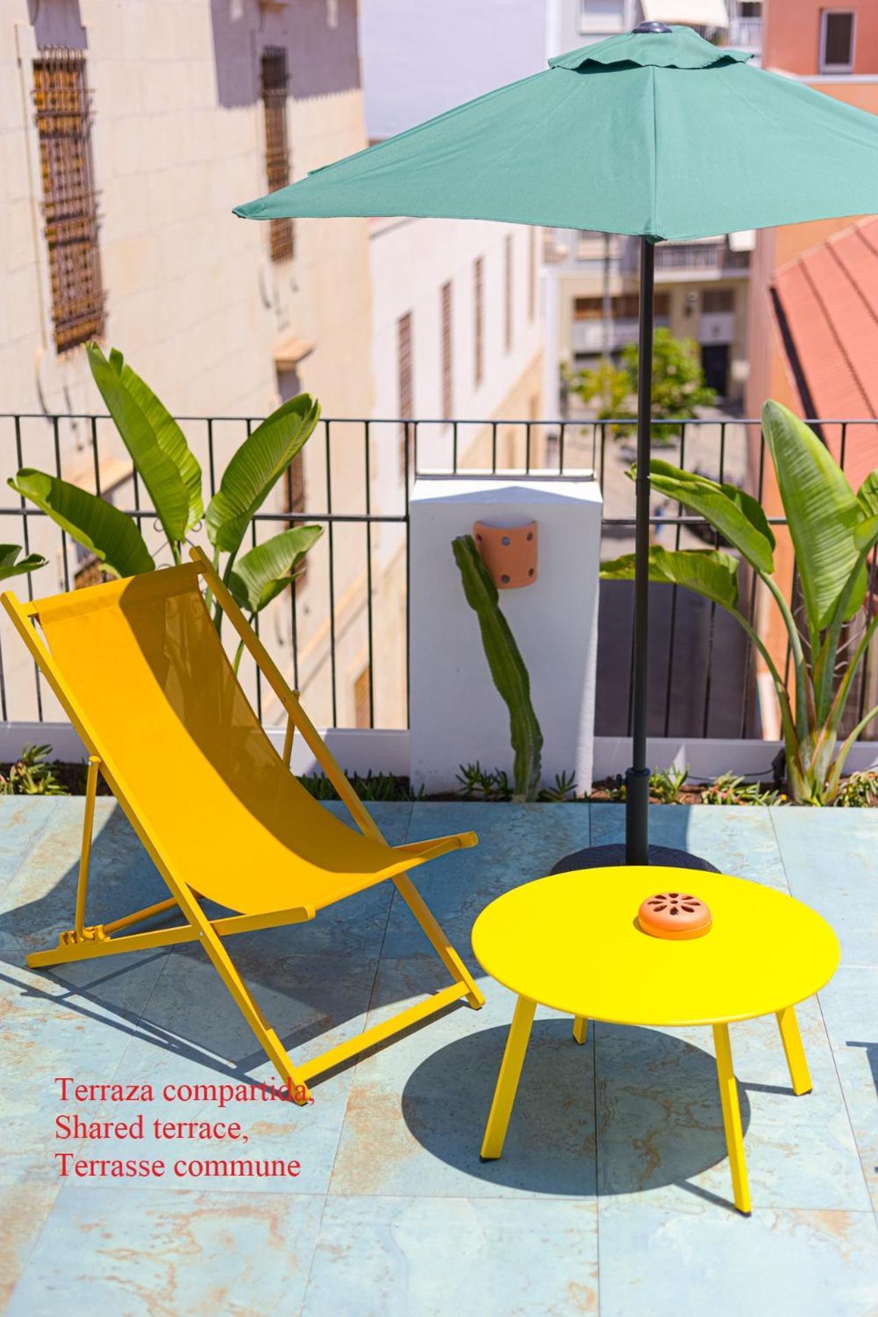 Glamorous Pink Studio In City Center Apartment Alicante Exterior photo